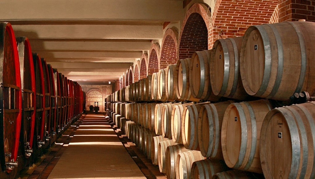 vinarska vizba burinja vino