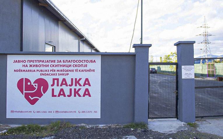 121546365_2638640743132118_524148423271260728_o