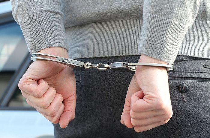 lisice_uhapsen_pixabay