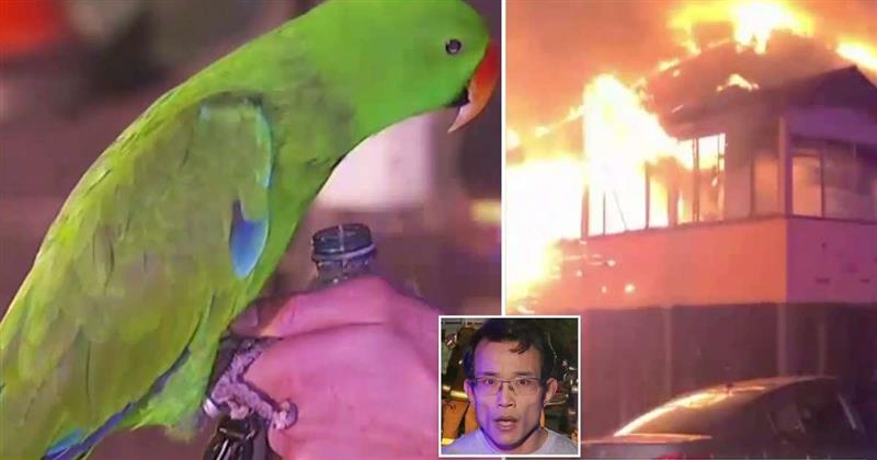 _uploads_thumbs_resize_800x420_446483