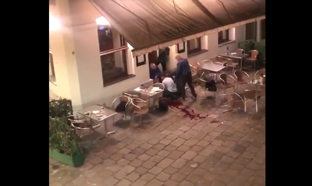 viena napad teroristicki