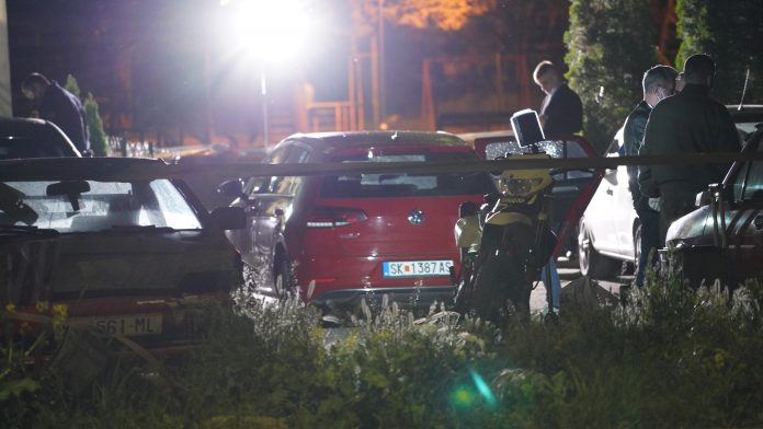 mvr detali ubistvo butel