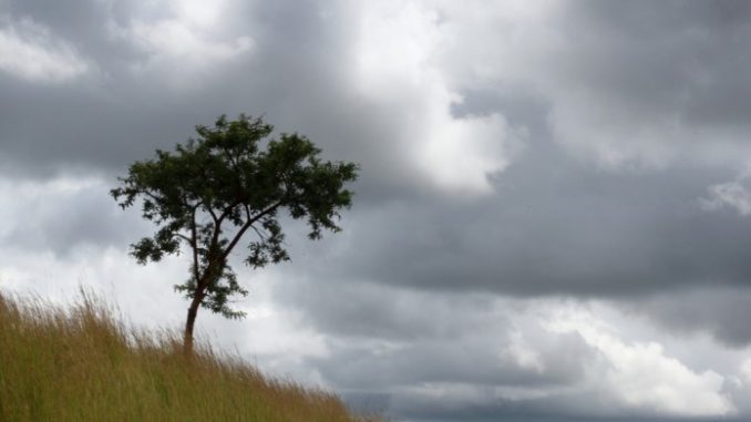 Времето денес: Променливо облачно со сончеви периоди и локален дожд во западните делови