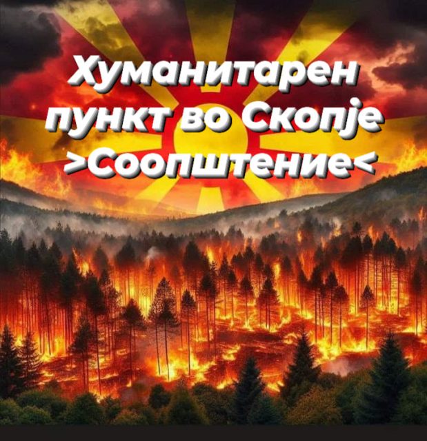 humanitaren-punkt-619x640