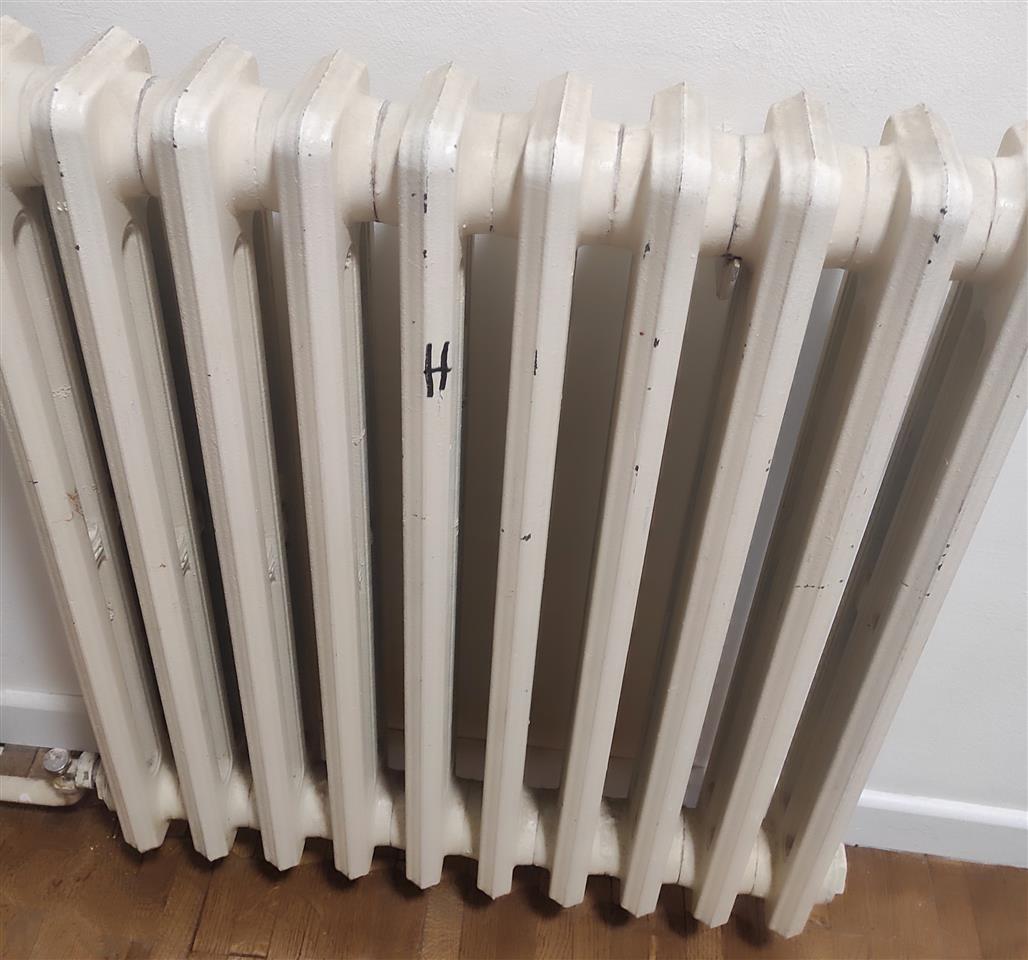 elektricen-kotel-za-centralno-greenje-i-gusani-radiatori