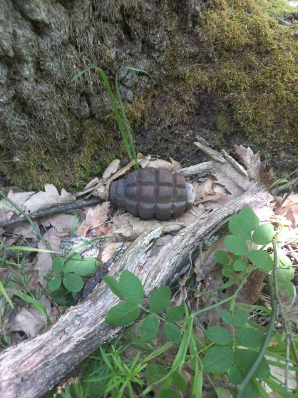 d48f1456-dc6d-4bc4-ae85-65b25357a70a