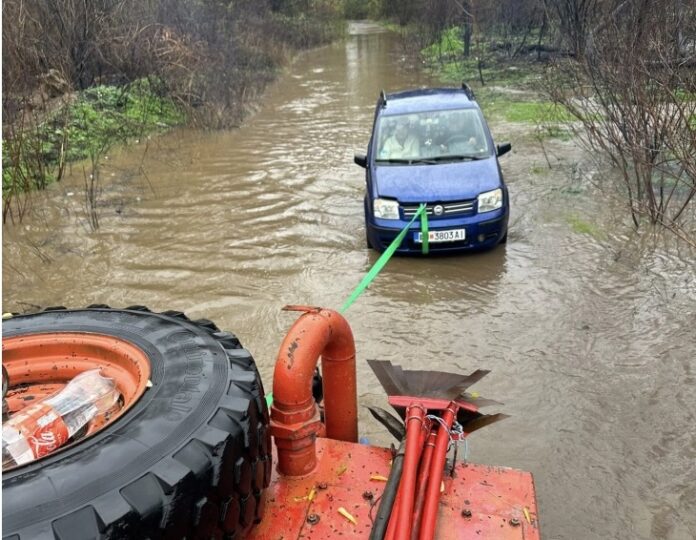 Izvlecheni-luge-od-Pchina-696x540