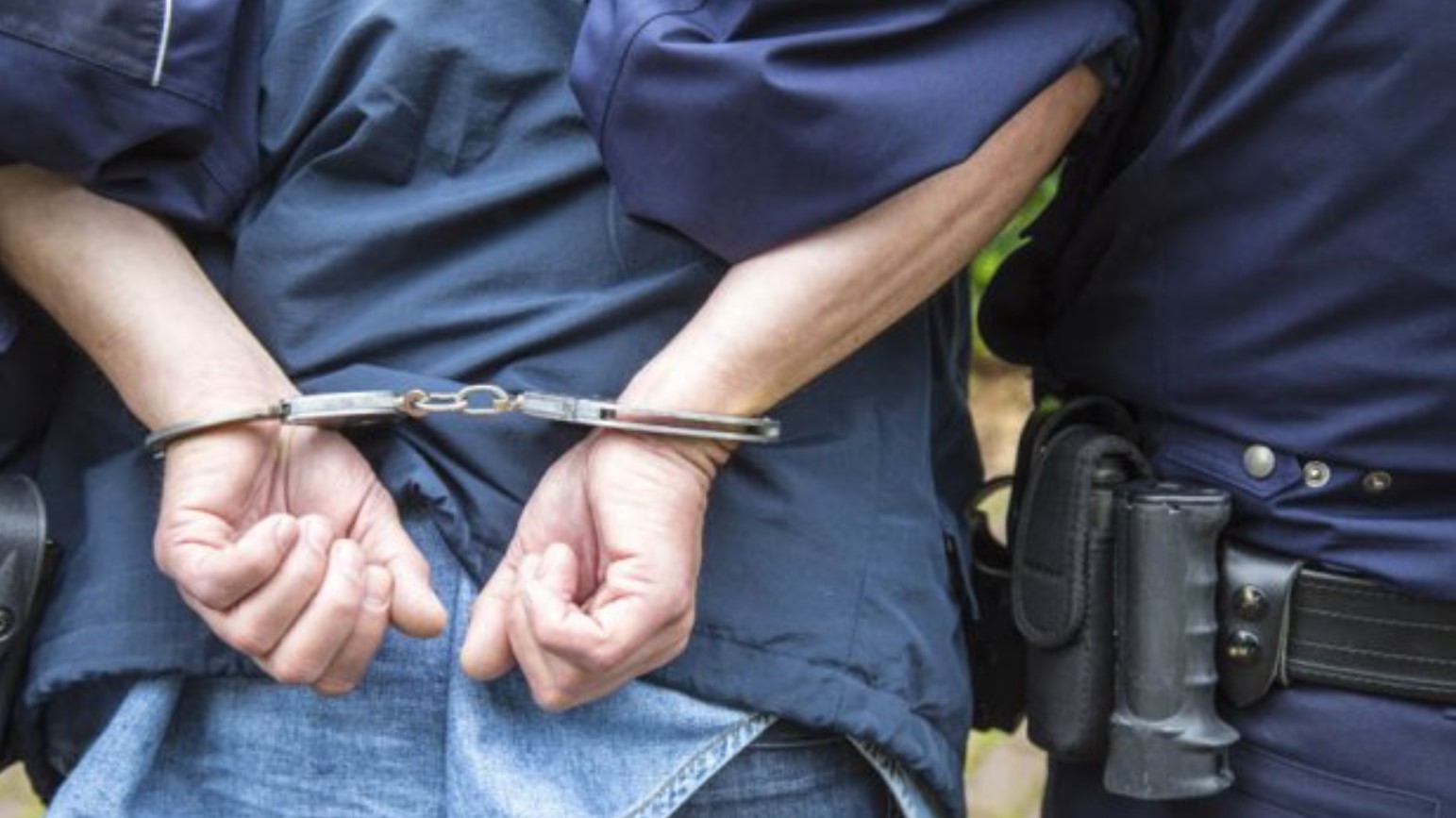 mvr policija lisici apsenje