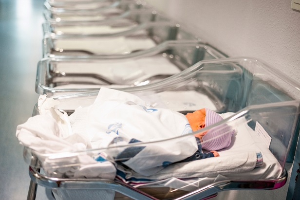 porodilno bebinja natalitet