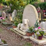 grobista za domasni milenici