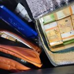 3._zaplenjeni_evri_pronadjeni_u_rucnom_frizideru_i_torbi_-960x517