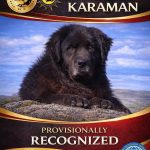 KARAMAN
