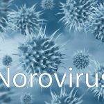 Norovirus_thumbnail