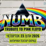 Аудиовизуелен спектакл: Tribute to Pink Floyd во Охрид pink floid