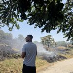 MUHAED ALI