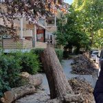 (Видео)Карпош две недели по невремето: Остатоците нерасчистени, Лукровски на одмор во Охрид после само еден месец на работа lukrovski na odmor