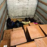 Фатени тројца мигранти од Судан во камион пронајдени скриени меѓу стока migranti carina