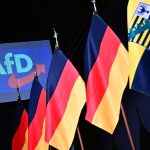 afd-germanija-izbori